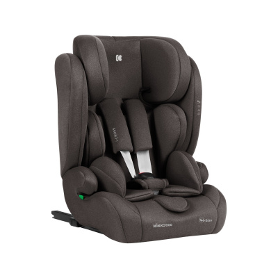 segg_auto_i-cross_marrone
